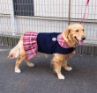画像2: 犬服　プリーツワンピースコート型紙　大型犬用 (2)
