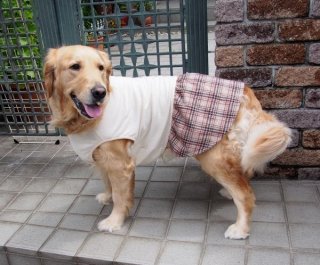 洋服の型紙屋さんフルール