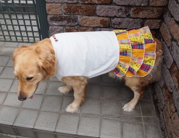 画像3: 犬服 ティアードワンピース型紙 大型犬用 (3)