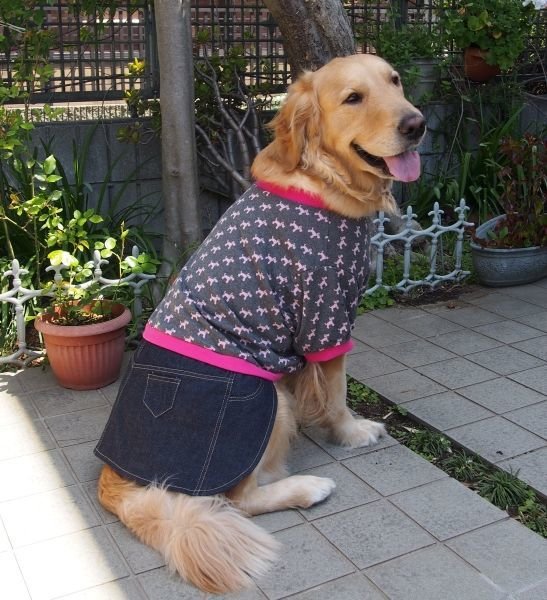 画像1: 犬服　デニムスカート付きTシャツ型紙　大型犬用 (1)
