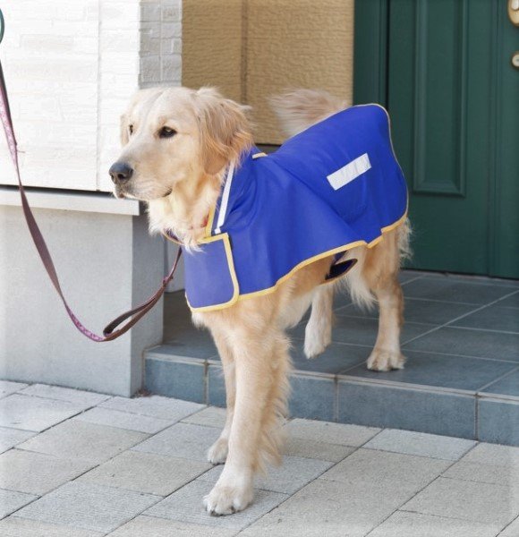 画像2: 犬服 レインコート型紙 大型犬用 (2)