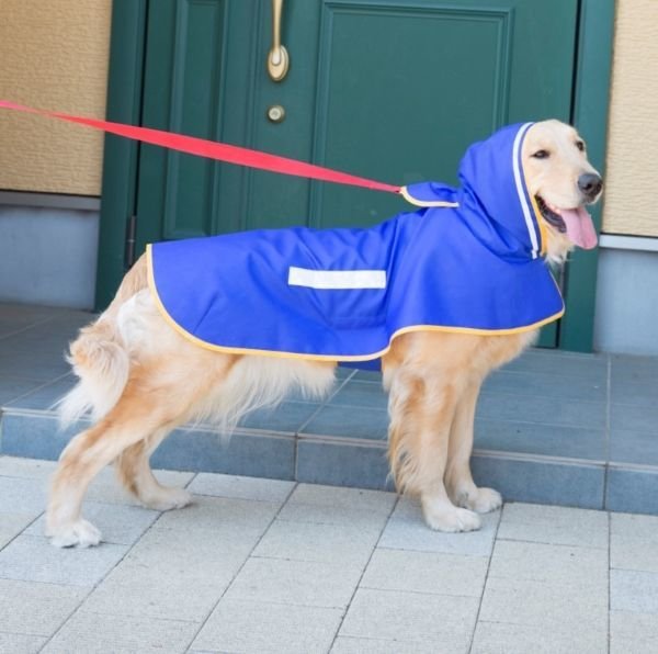画像1: 犬服　レインコート型紙　大型犬用 (1)