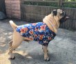 画像1: 犬服　アロハシャツ型紙　小型犬〜中型犬用 (1)