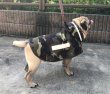 画像1: 犬服　レインコート型紙　小型犬〜中型犬用 (1)