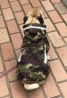 画像4: 犬服　レインコート型紙　小型犬〜中型犬用 (4)