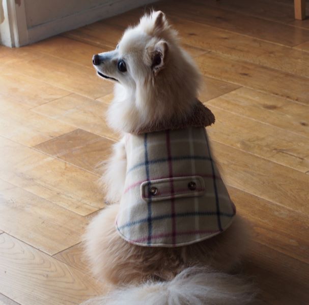 犬服　おでかけコート型紙　小型犬〜中型犬用